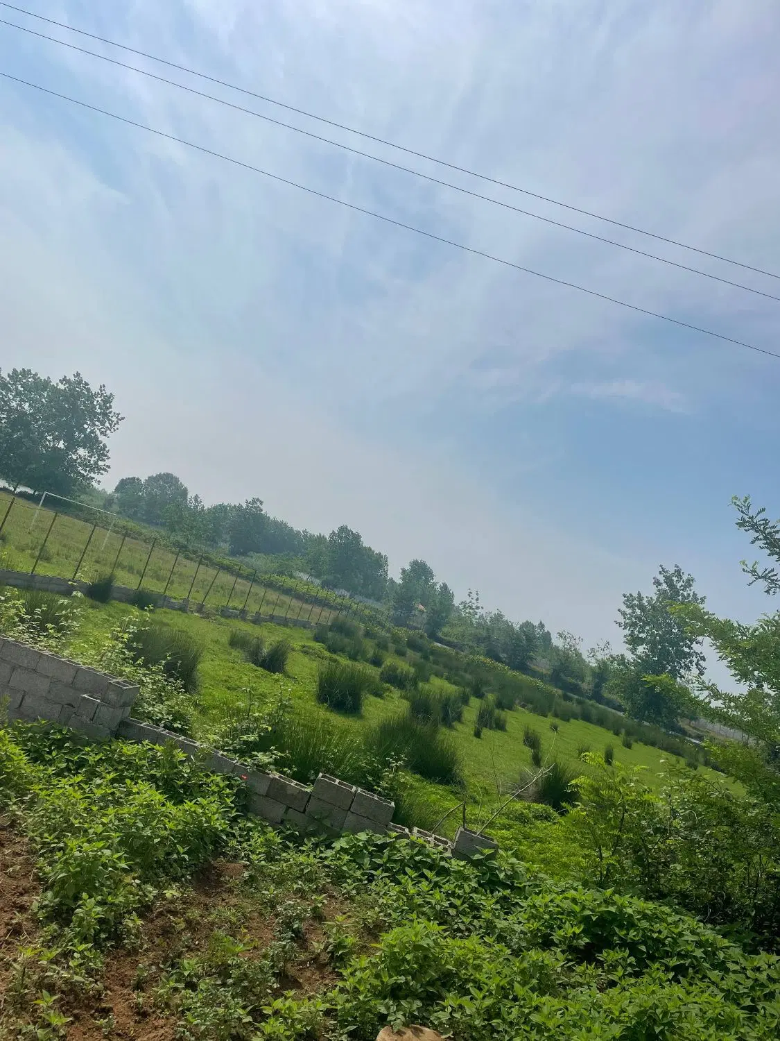 زمین مسکونی