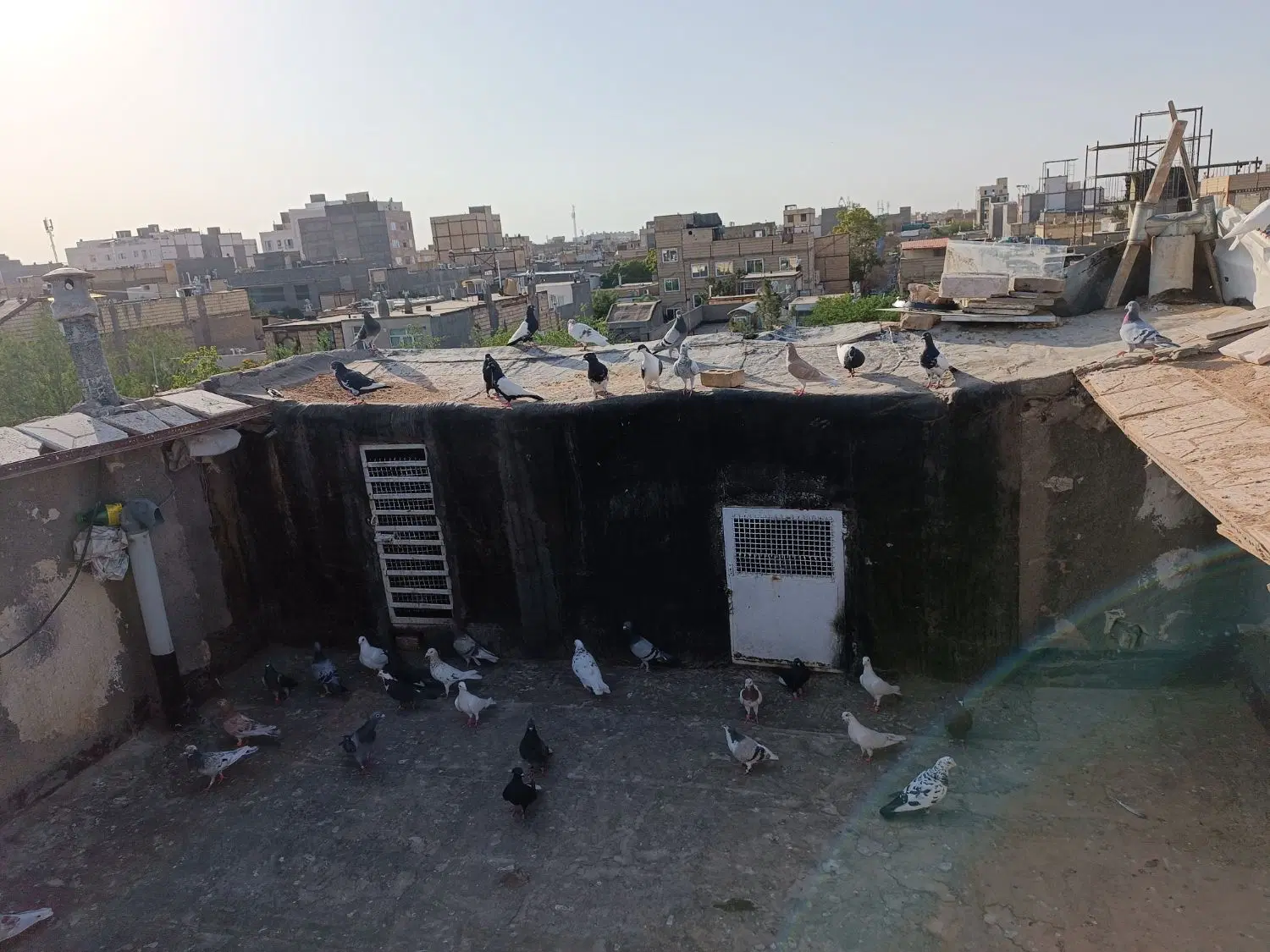70تا کفتر بایک واحد آپارتمان80متری رهن اجارصادقیه