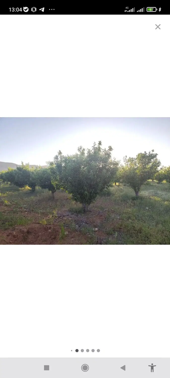 باغشهری مجموعه ارکیده