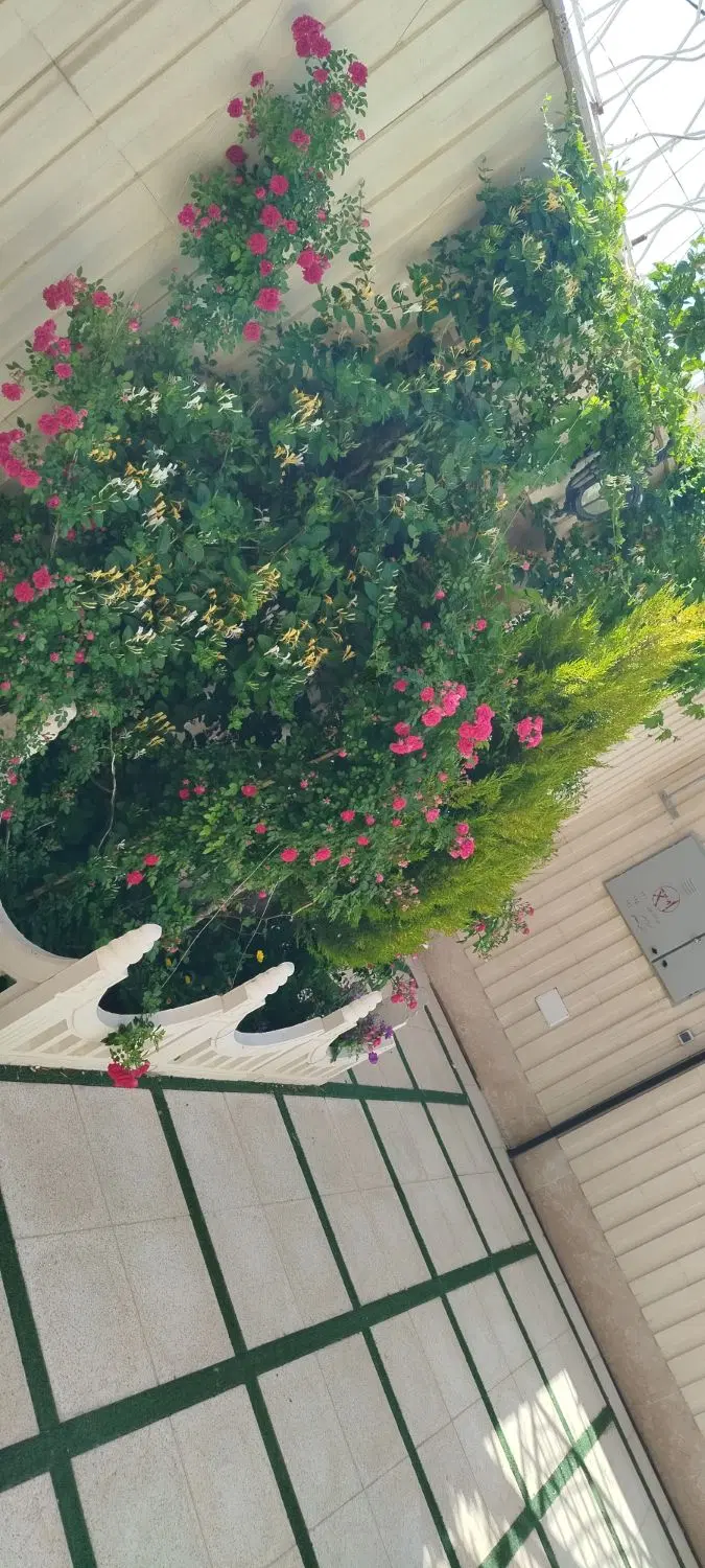اجاره ۹۰متری گلدیس