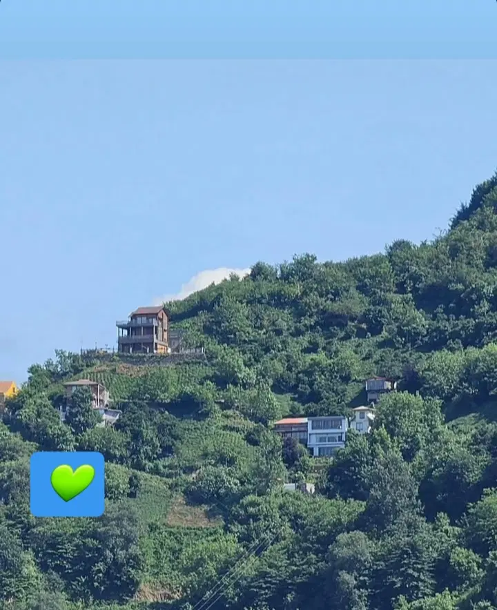 باغ با سند