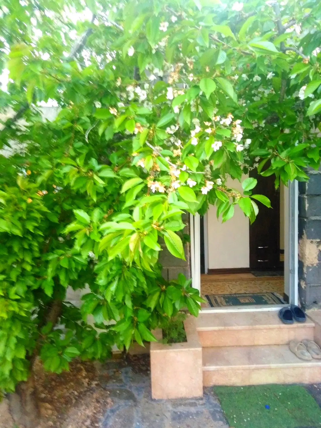 باغستان ارم 3 آهنگران