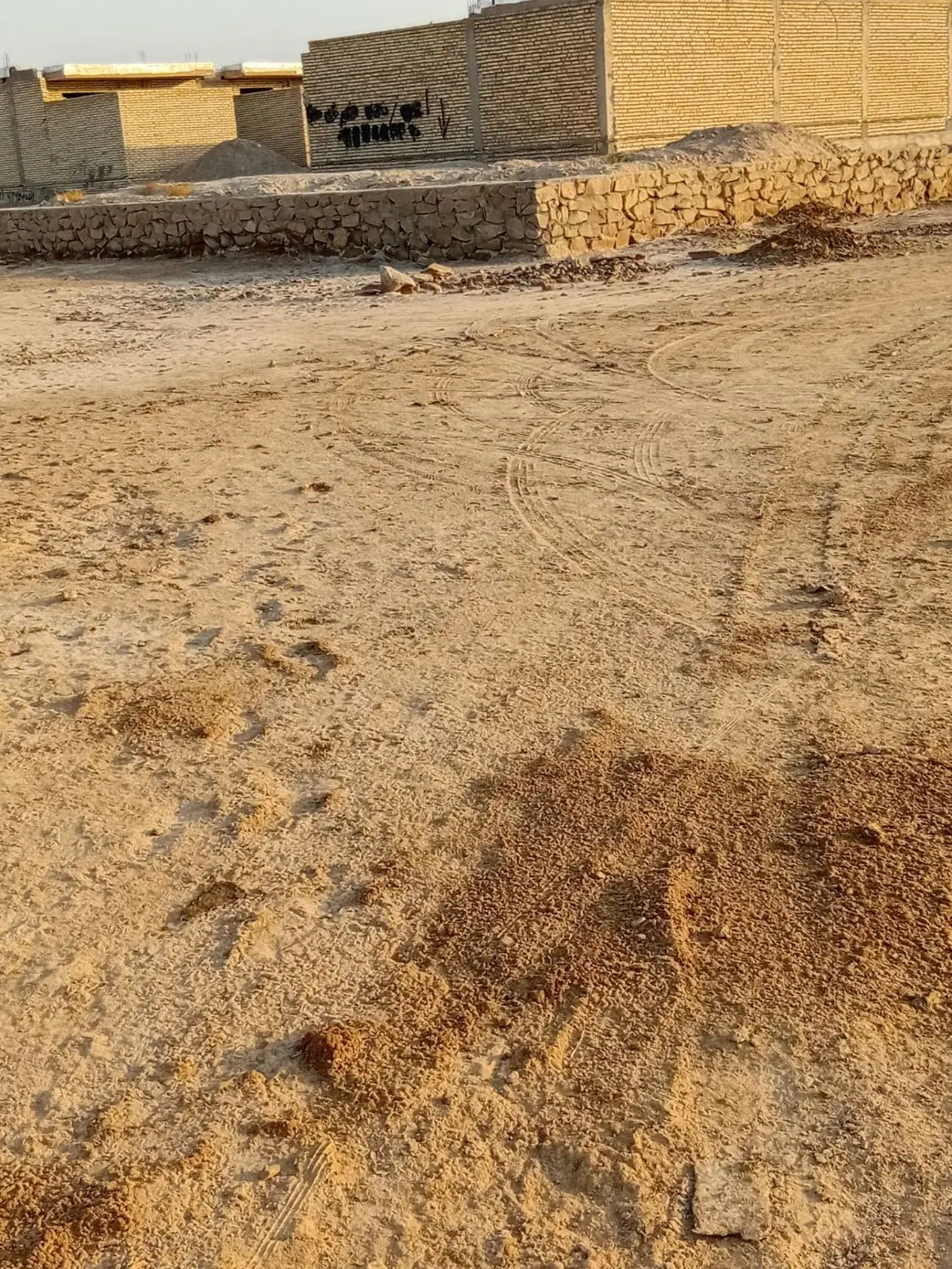 شادگان