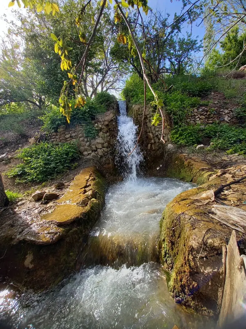 اجاره زمین کشاورزی دشت مناسب زعفران