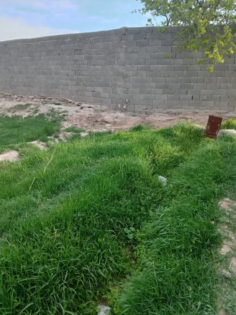 باغچه ۷۰۰ متری