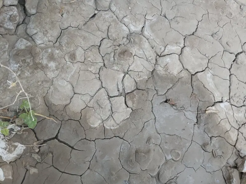 ۳ پلاک زمین اسدابادی