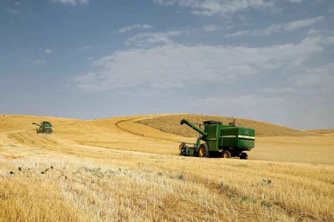 فروش زمین کشاورزی روستای سردشت