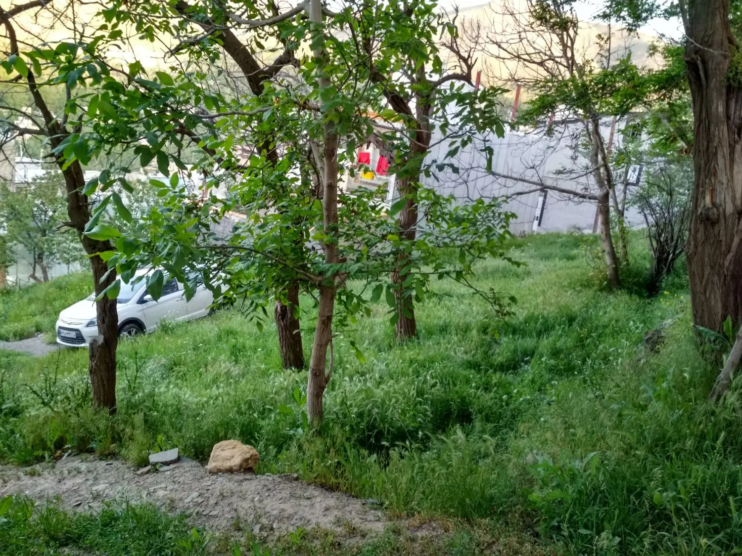 زمین ۱۶۵ متر دره مراد بیگ منطقه گل باغچه