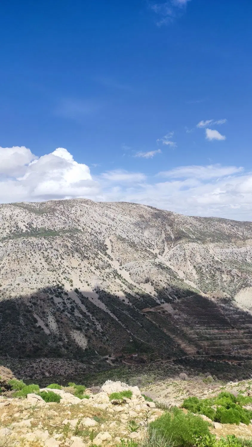 معاوضه زمین در مادوان با زمین باغی یا باغ