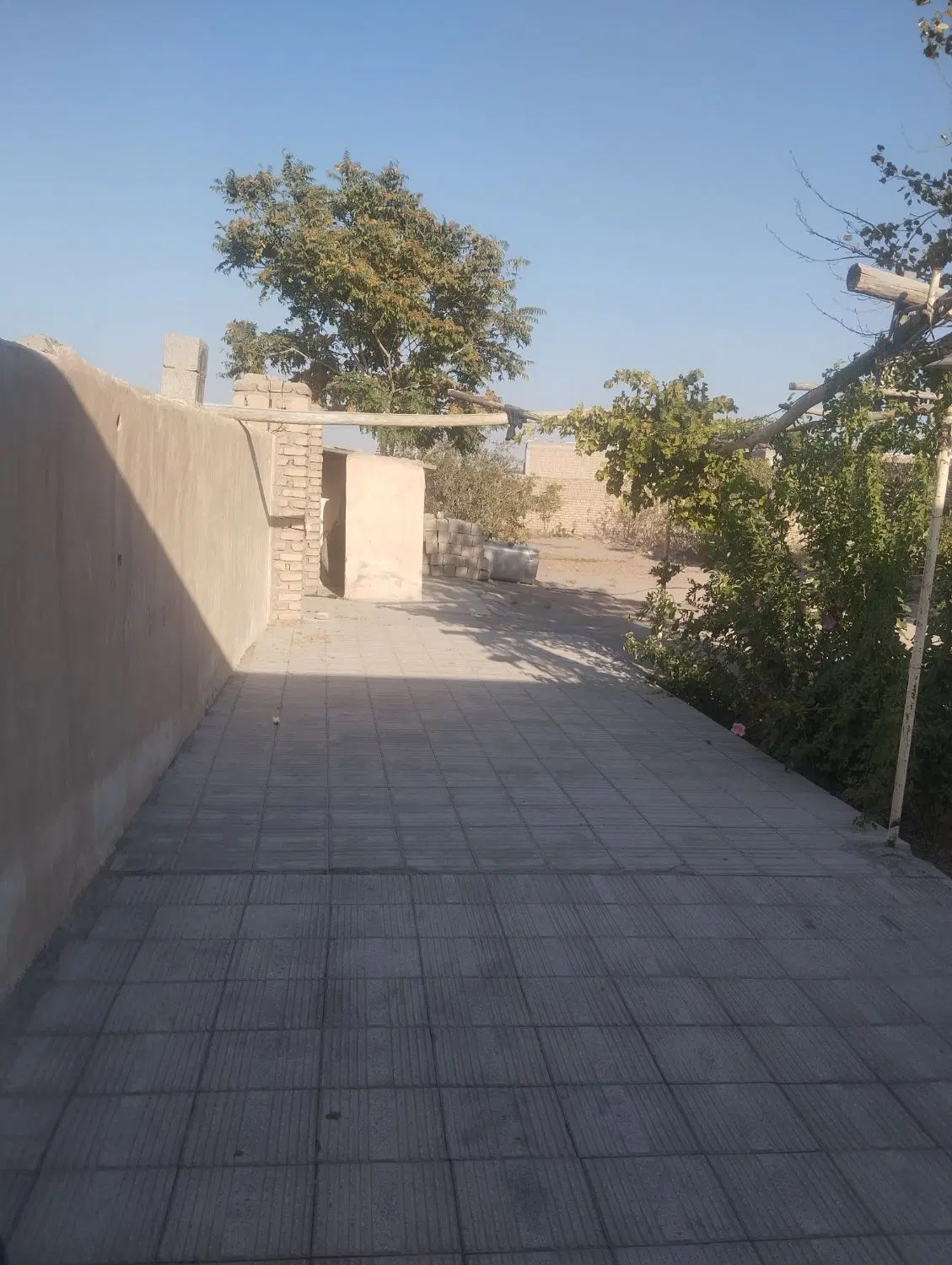 خونه باغ (دشتکار )