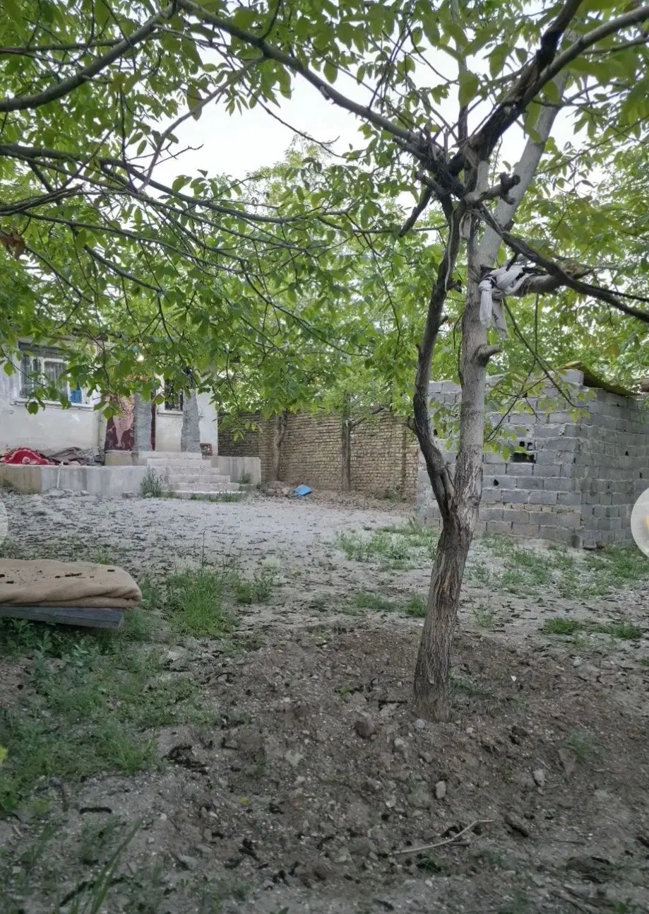 خونه باغ ۳۶۰ متری