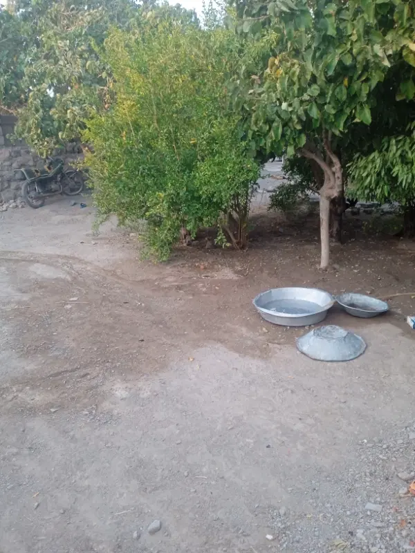 زمین چهار دیوار سندجدا