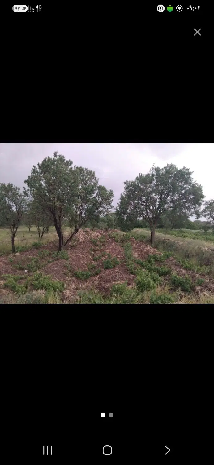 باغ پسته بادام سالن مرغداری زمین خانه