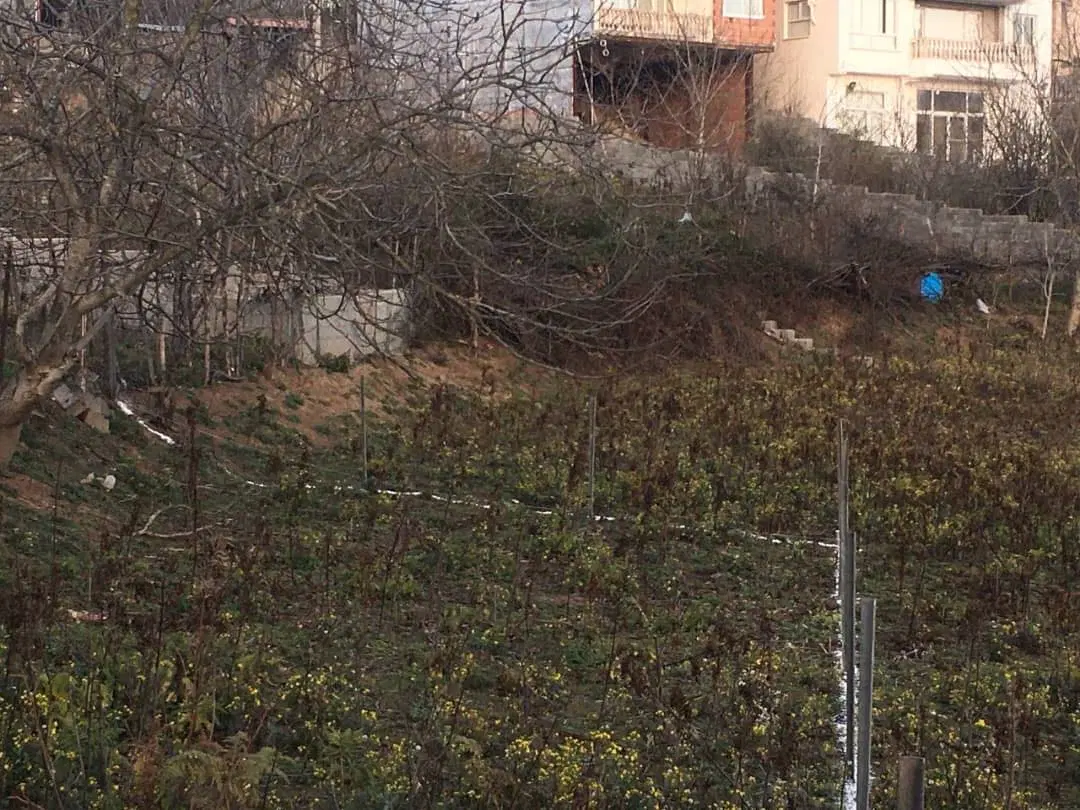 فروش زمین در روستای توریستی لولاک