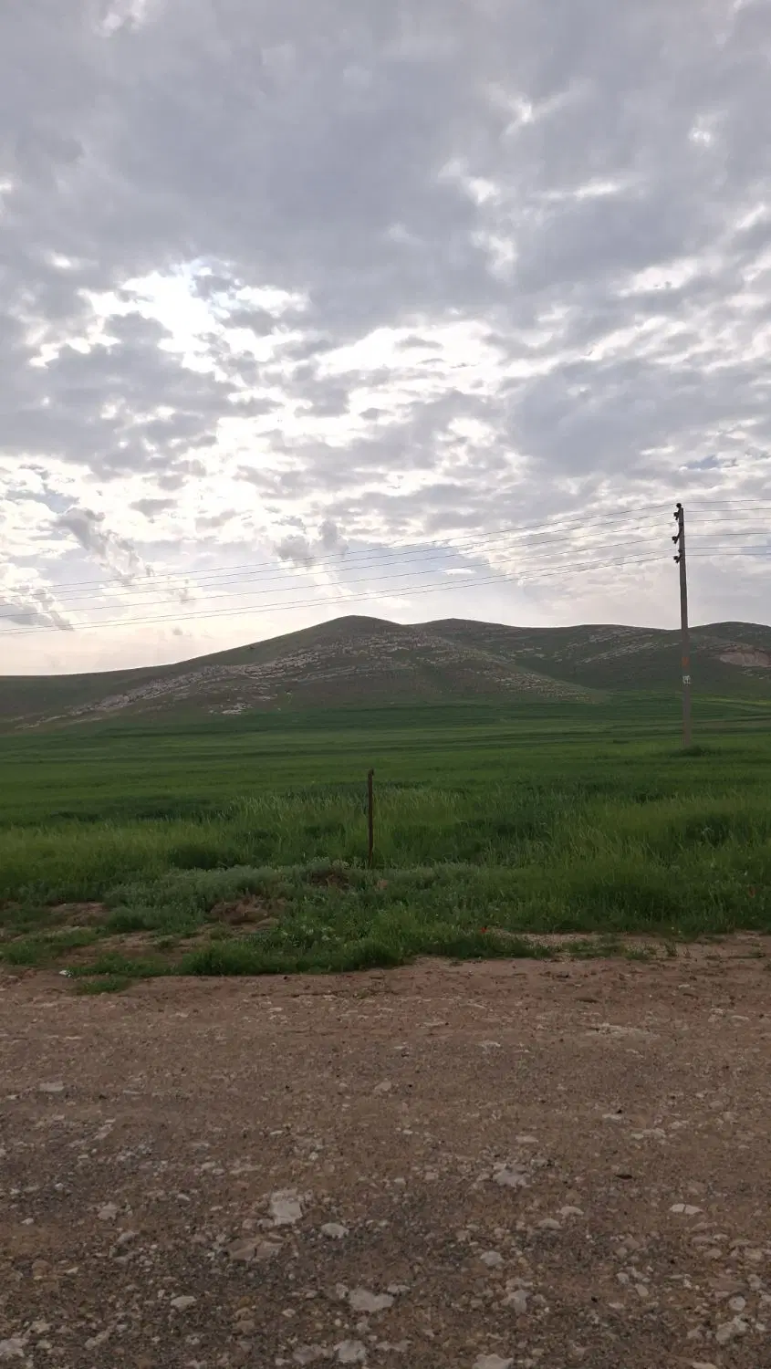 زمین مسکونی در حسننی کوهنانی