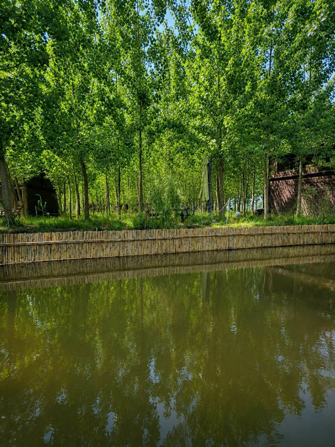 برای کسی که معمولی نمیخره