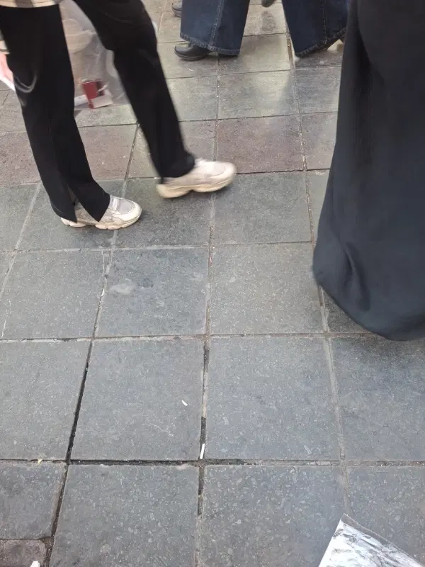 همخونه میخوام