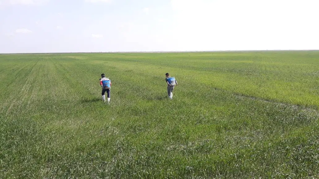 زمین کشاورزی ۶ هکتار