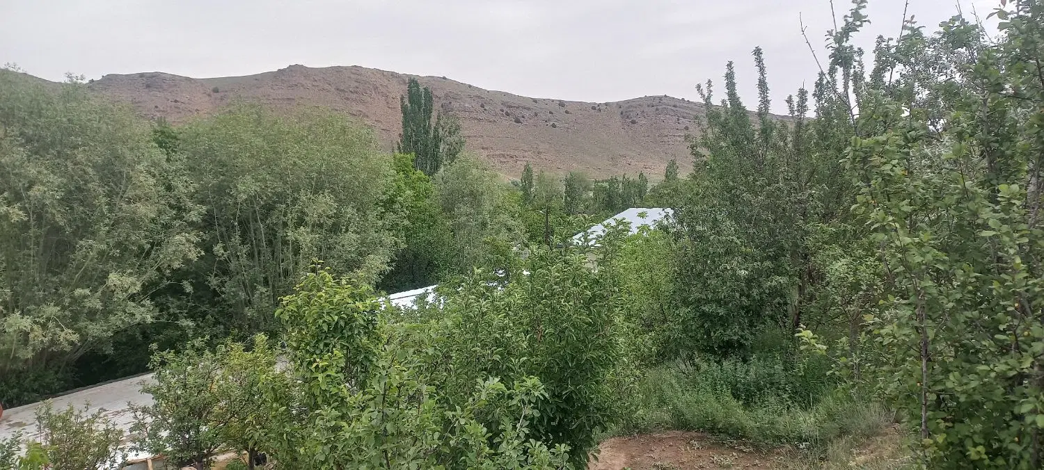 فروش باغ