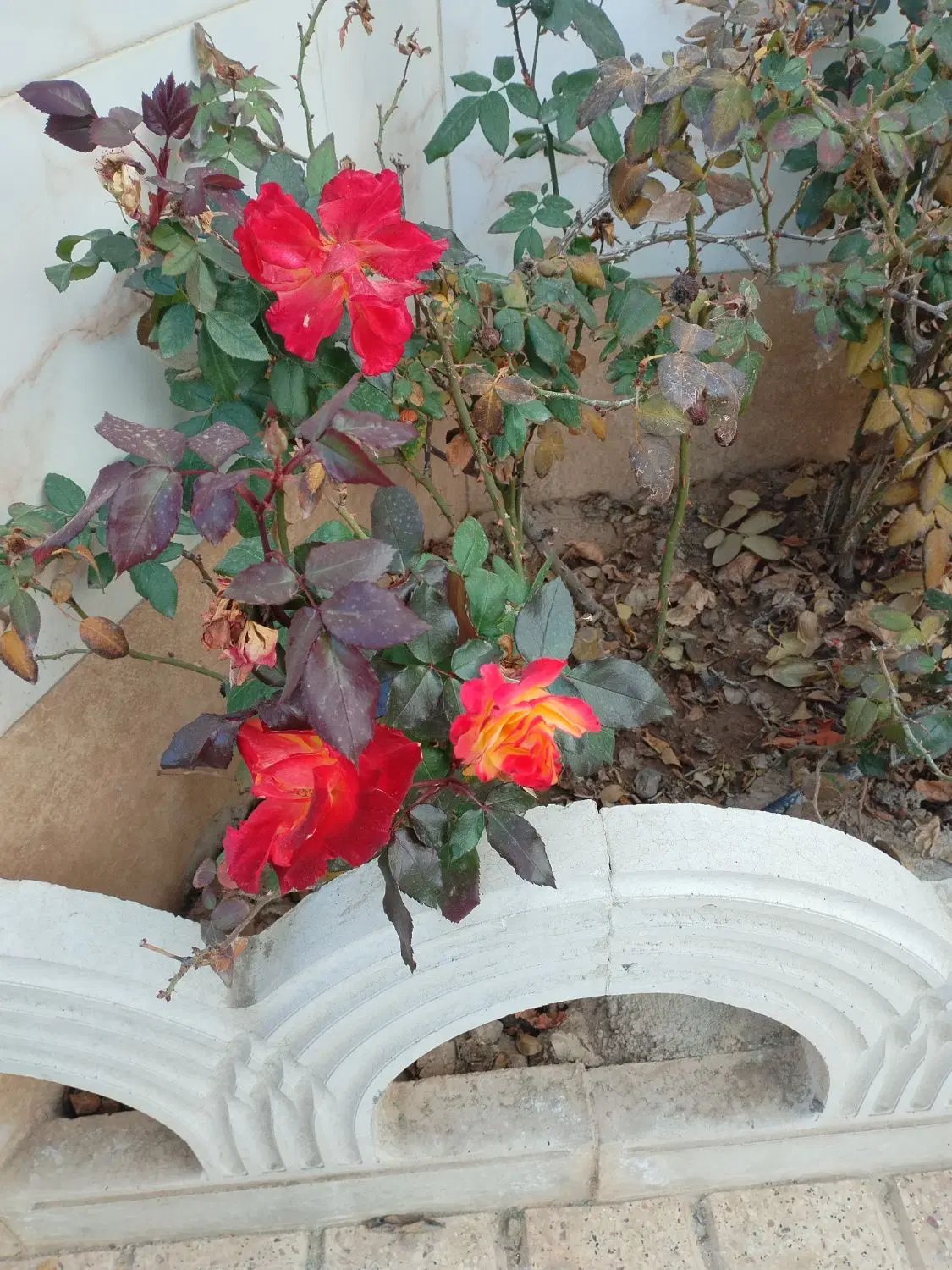 خونه ویلایی