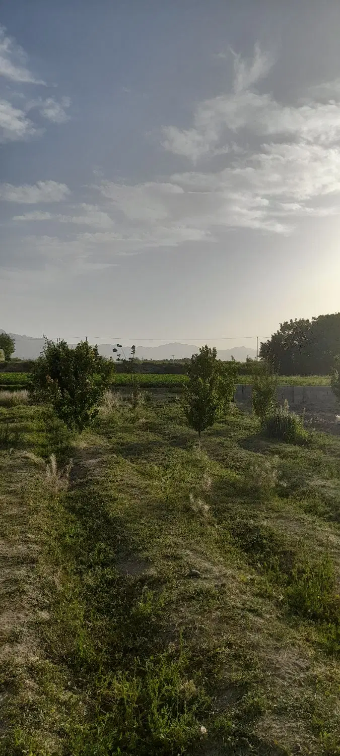 فروش زمین باغی