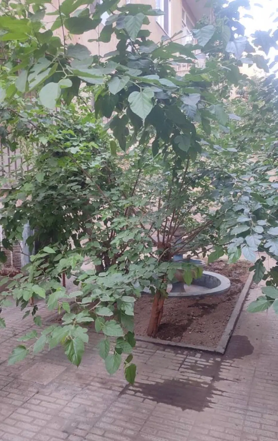 فروش ۳ دانگ از آپارتمان واحد اداری