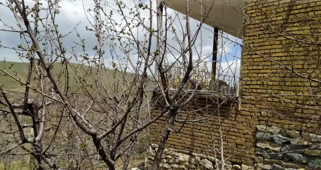 ابشینه باغ ۶۶۰متری