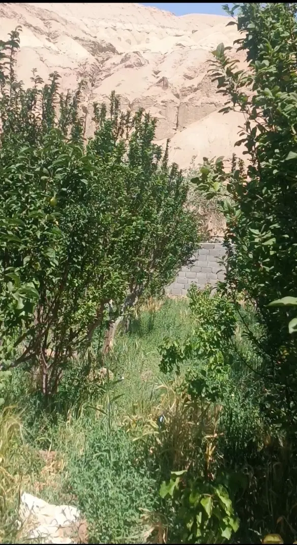 فوری باغ گوجه سبز و خانه(تهاتری ملک تهران ماشین)