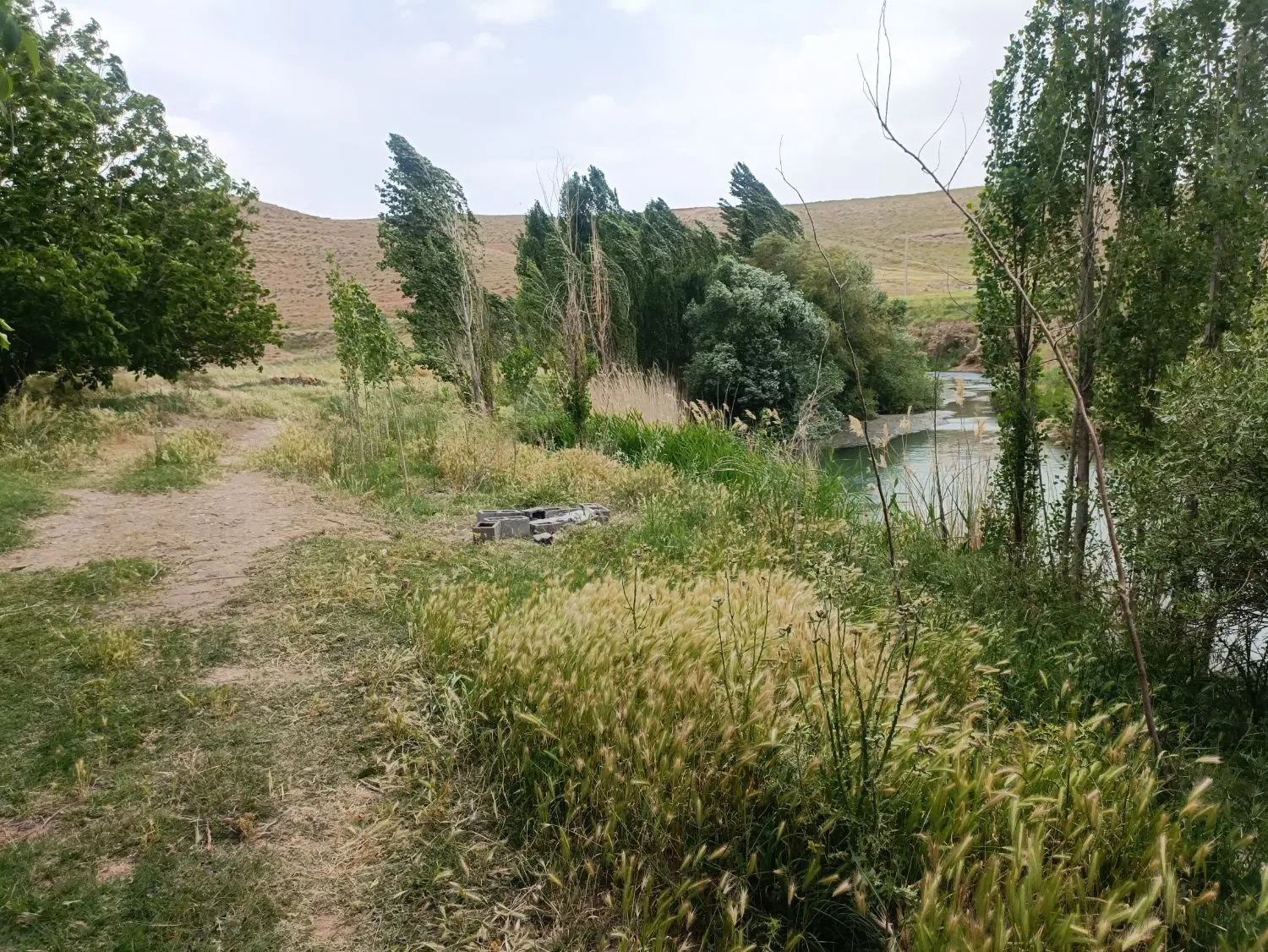 فروش باغ روستای آران