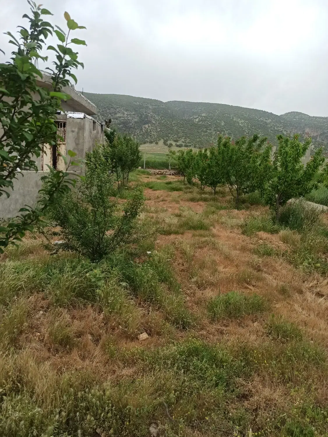 خانه باغ