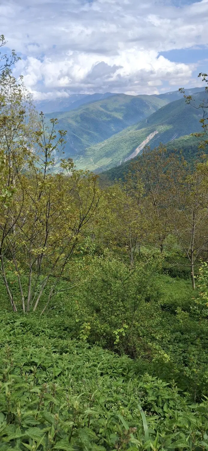 زمین داخل بافت روستای بسیار زیبای افراتخته