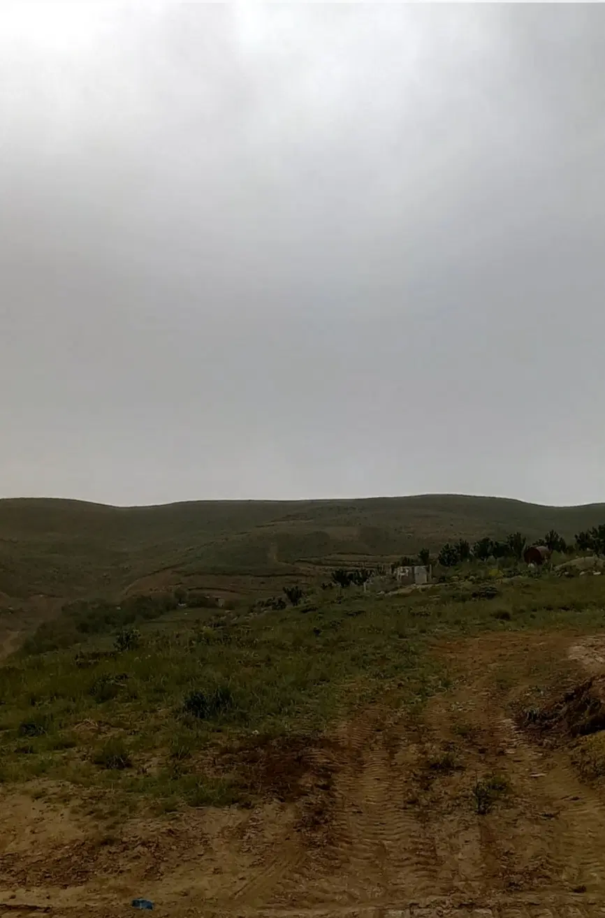 زمین باغی سند دار