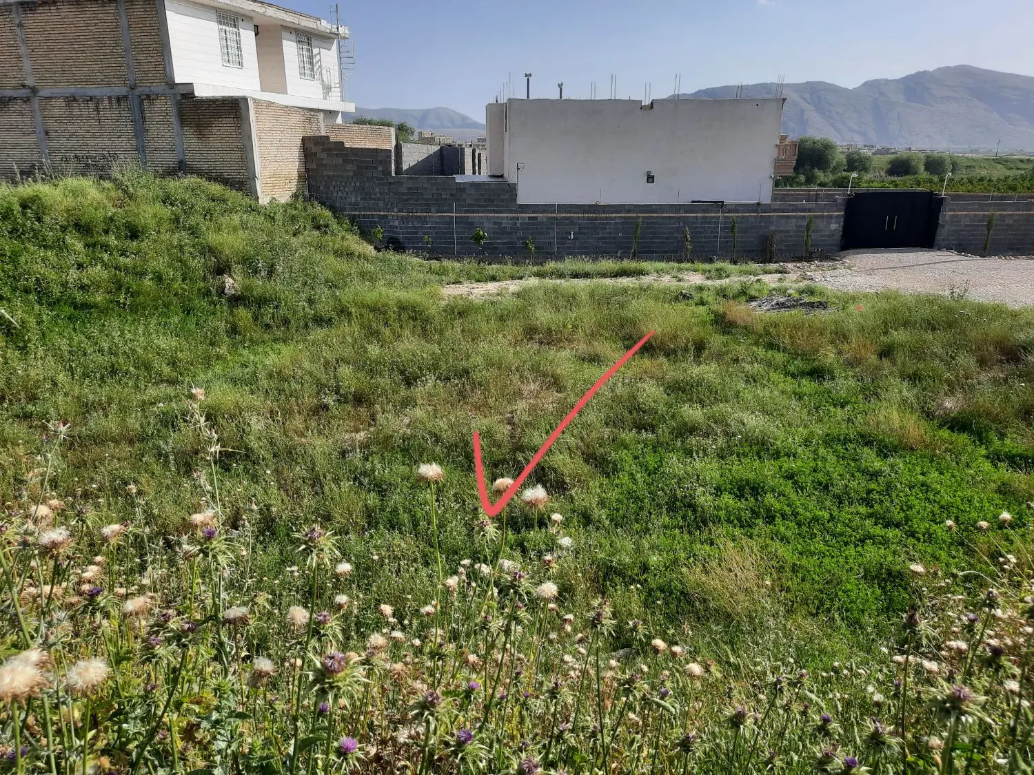 زمین مسکونی۴۱۵ متری بعد از کاشی سرامیک فروشی ذبیحی