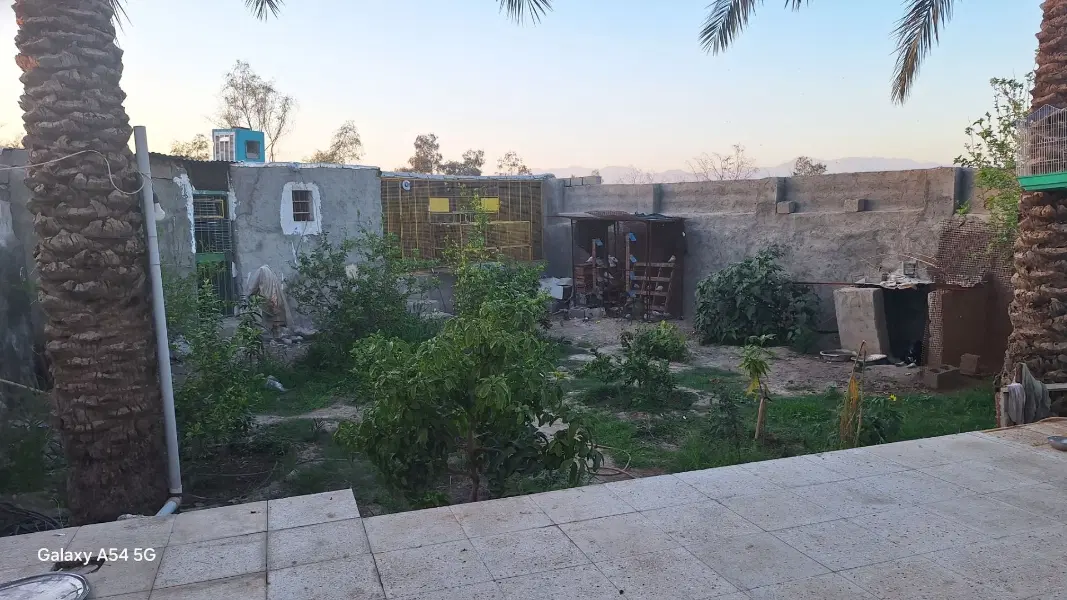 منزل ویلای جهت اجاره محله کهوروئیه