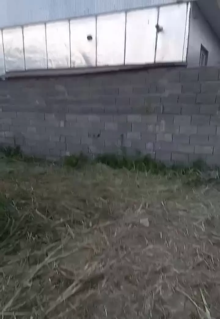 زمین به مساحت ۲۹۲ مترمربع