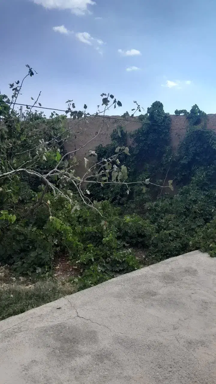 منزل فروشی