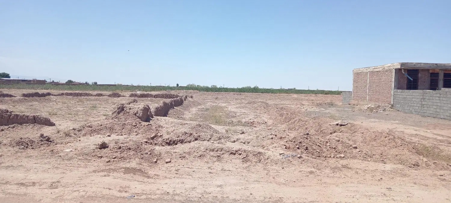 روستاعلم آبادرفسنجان16قصب نقدقصبی22میلیون