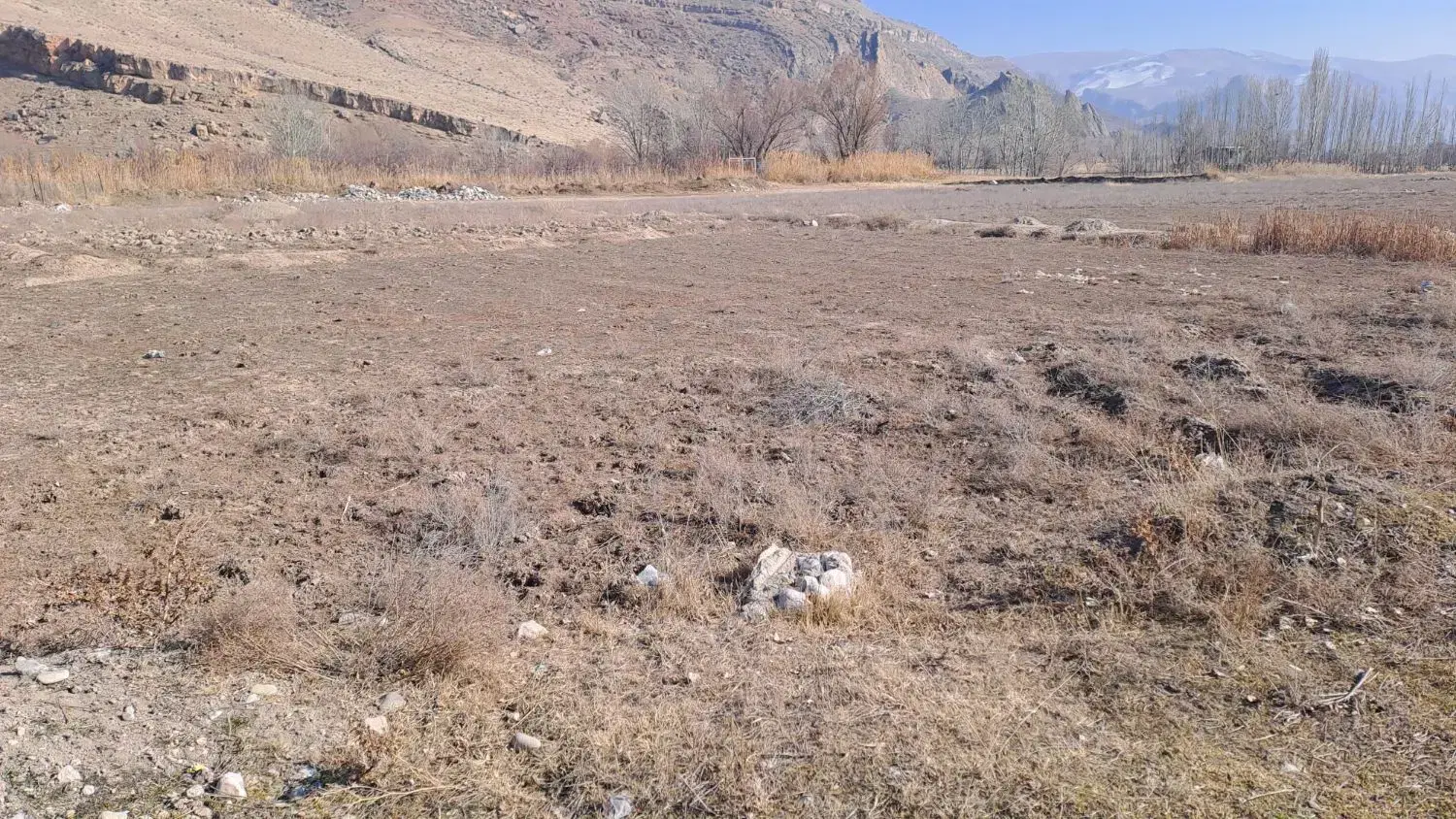 زمین زراعتی به متراژ۲۵۰