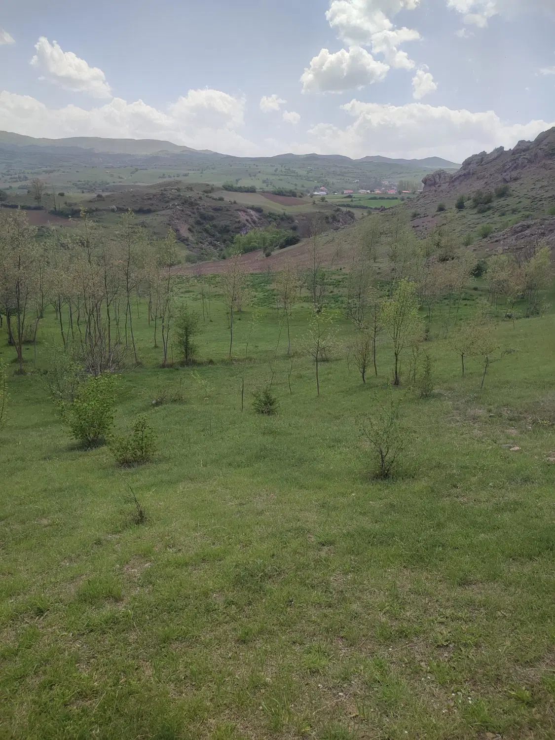 باغ و خانه محوطه