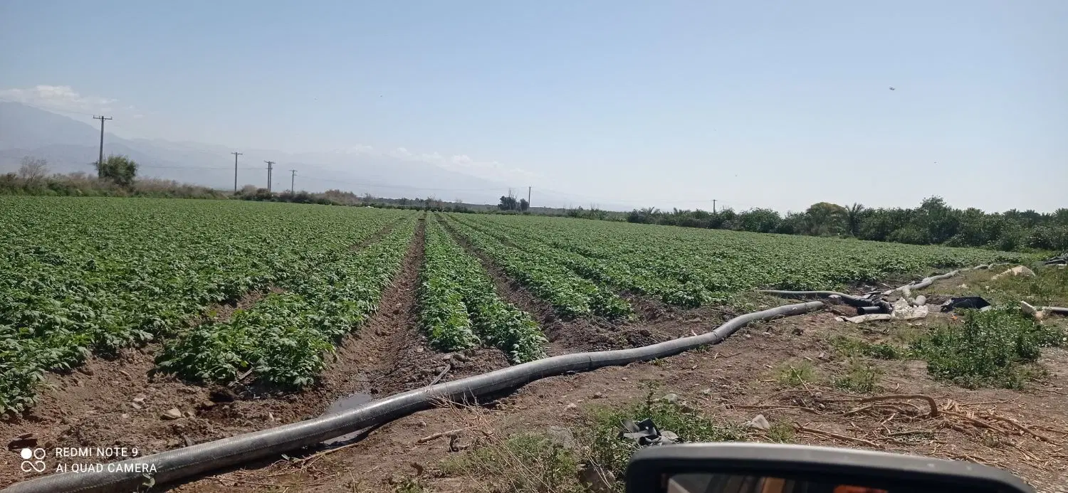 اجاره زمین کشاورزی