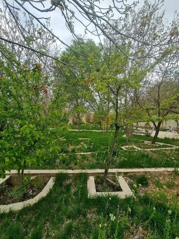 منزل یک طبقه دربست خیابان اتحاد شریف اباد