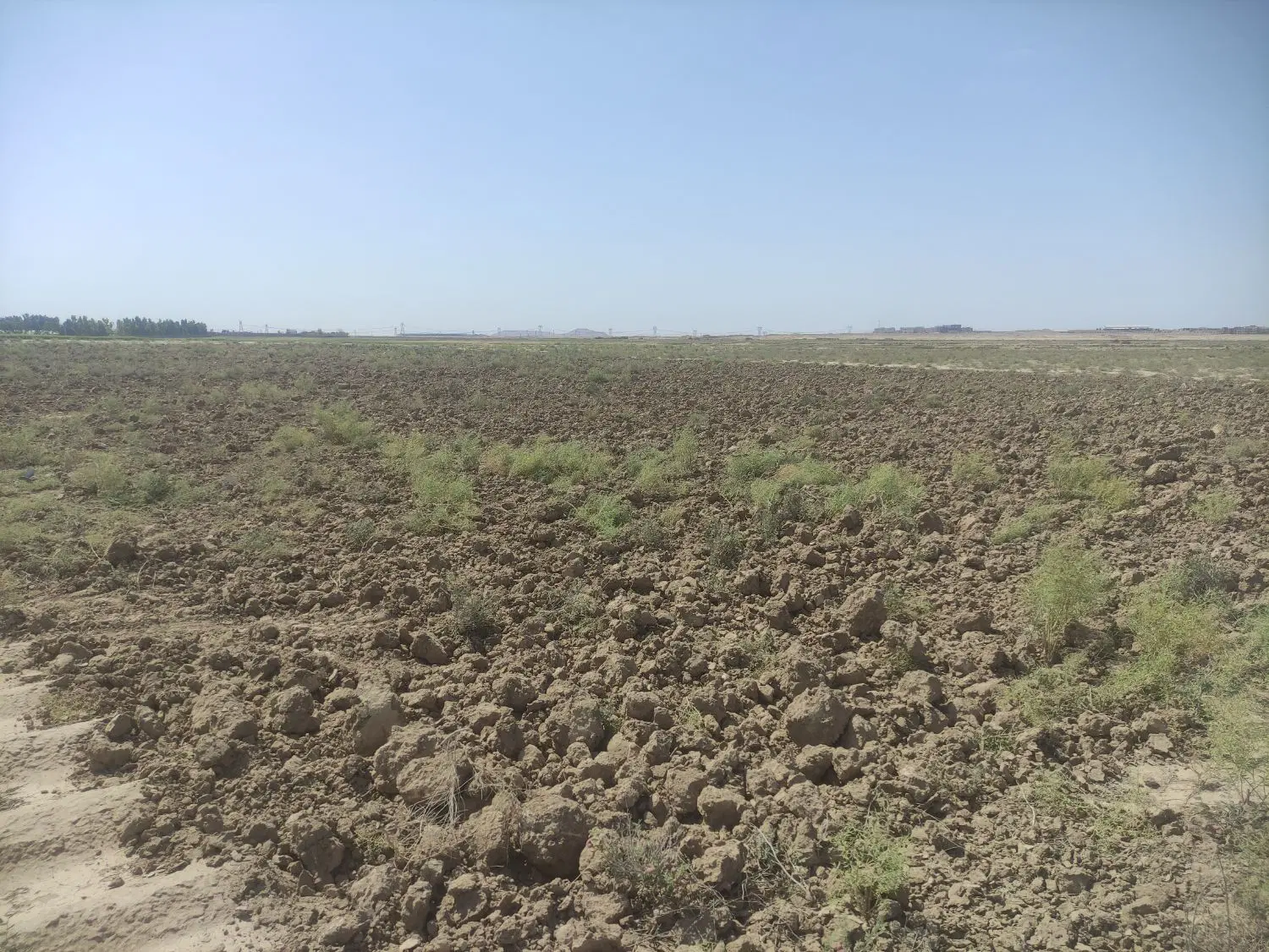 زمین۲۷۰۰متر در پیشوا ایده‌آل برای باغ پسته وگلخانه