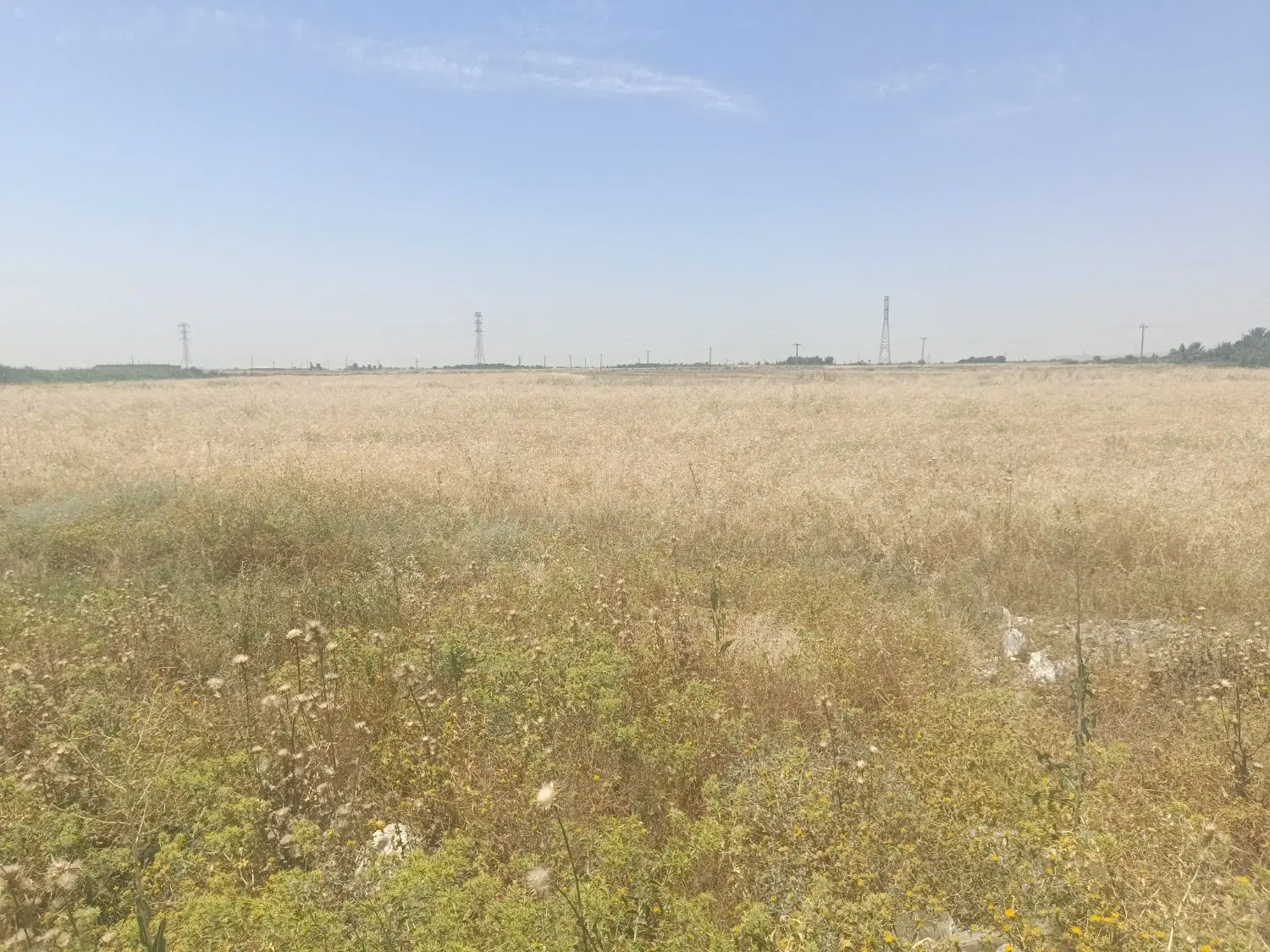 زمین کشاورزی اجازه ای