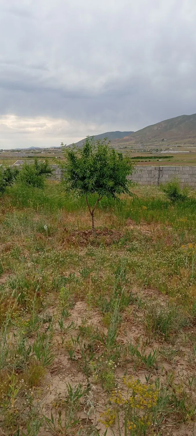 باغ کوچک 600متری در نهند کوی امام رضا