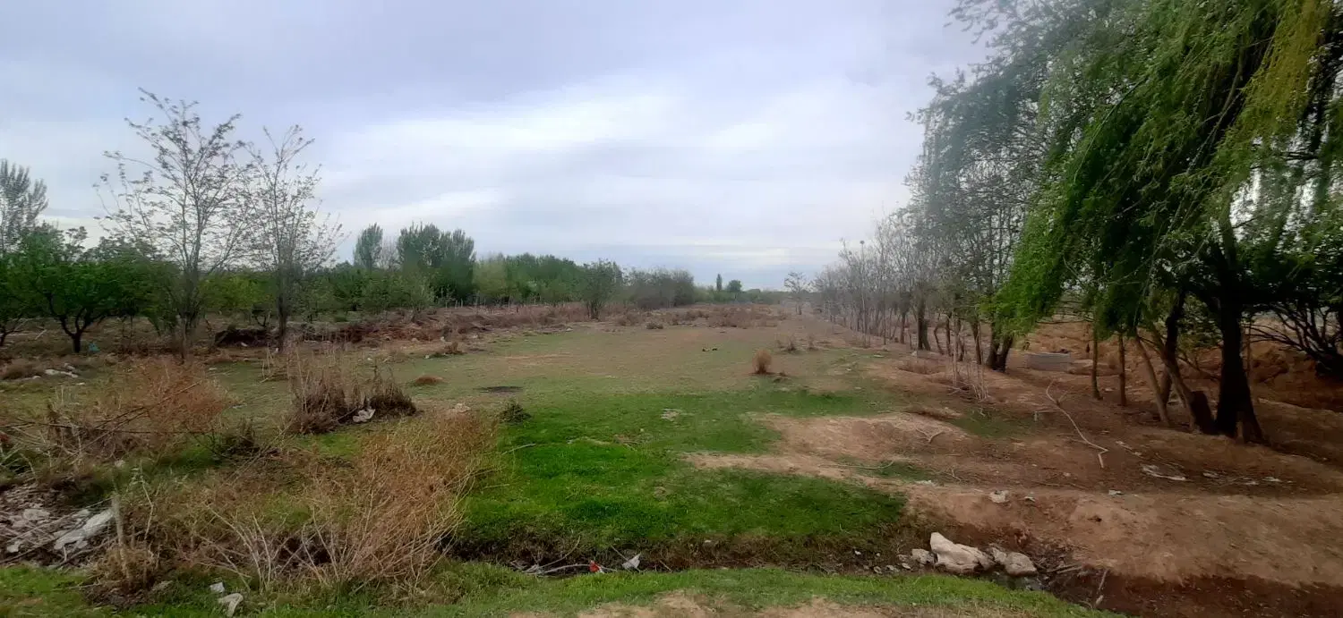 زمین پیشک دو