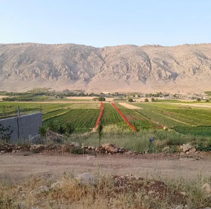 زمین روستایی