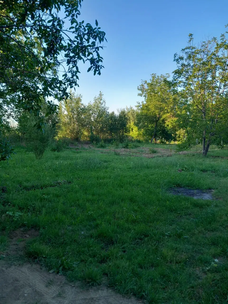 باغچه