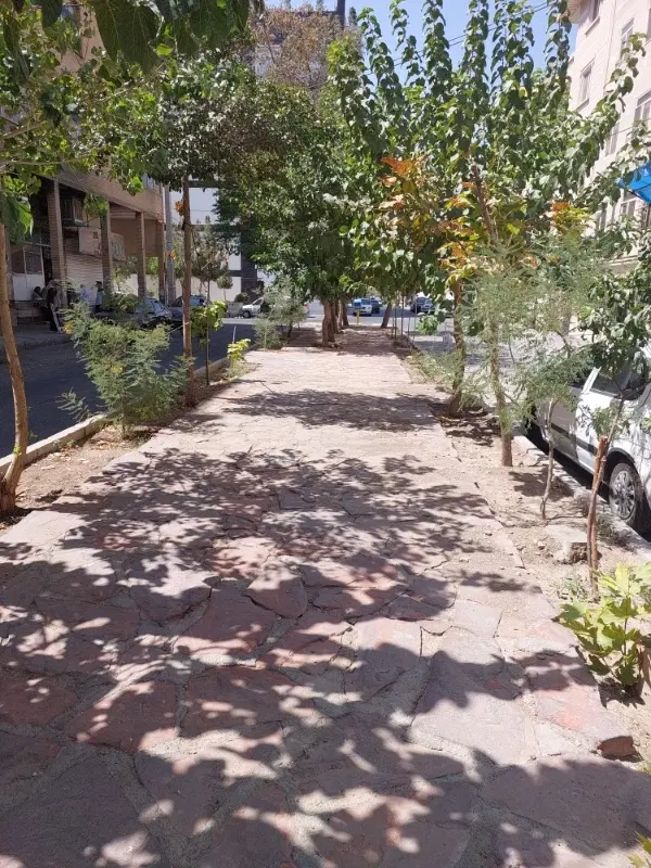 ویلایی دکتر حسابی شمالی