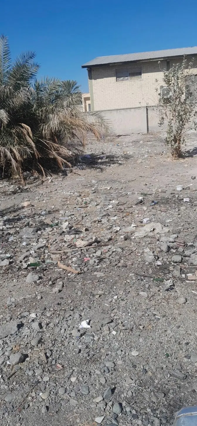 زمین کوچه مصلا