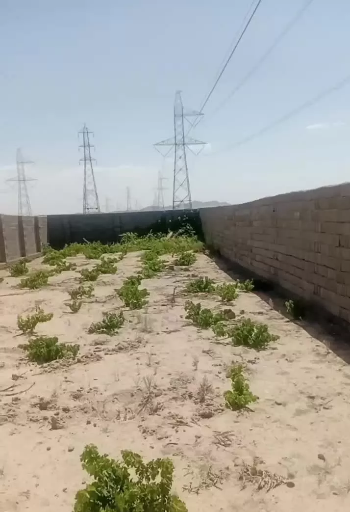 باغچه ۳۵۰ متری مناسب سرمایه گذاری و ساخت و ساز